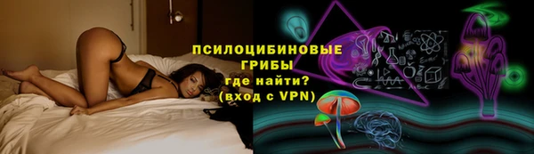 ГАЛЛЮЦИНОГЕННЫЕ ГРИБЫ Гусиноозёрск
