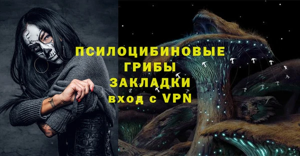 стафф Горнозаводск